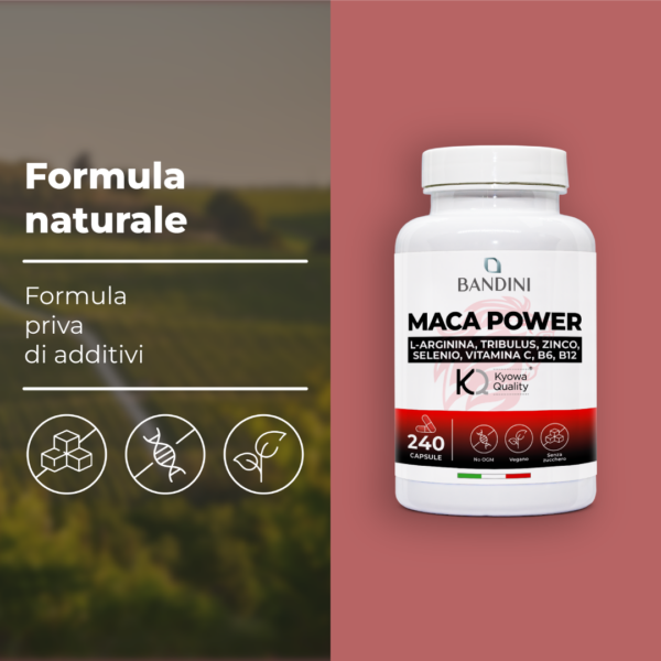 Maca Power - 240 Kapseln – Bild 5