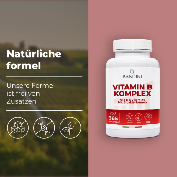 Vitamin B-Complex 365 Tabletten.PT04