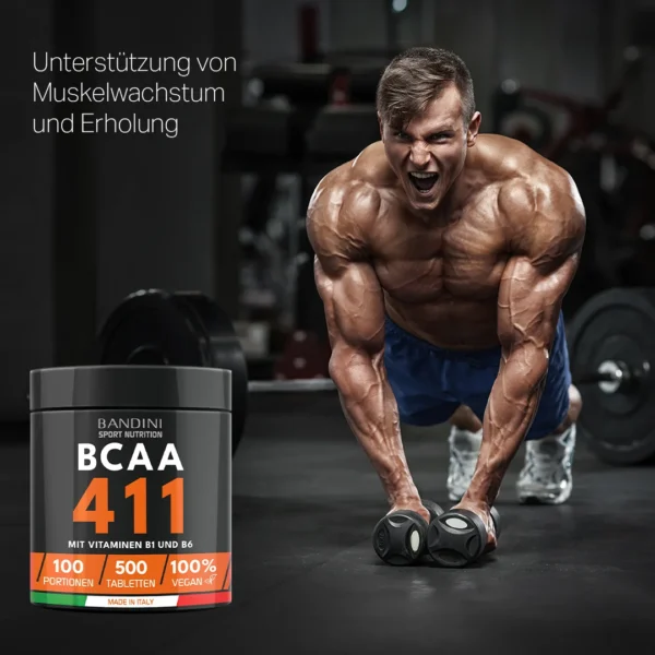 BCAA 4 1 1 500-Nahrungsergänzungsmittel