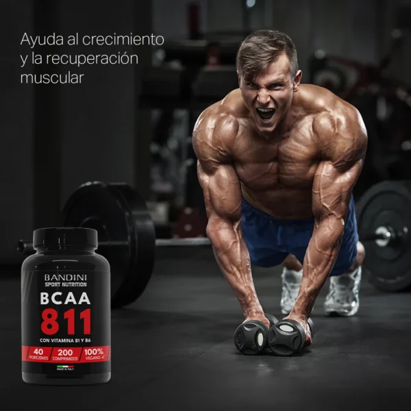 BCAA 8 1 1-Nahrungsergänzungsmittel