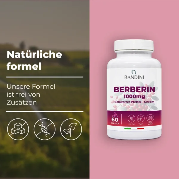 Berberin-Nahrungsergänzungsmittel