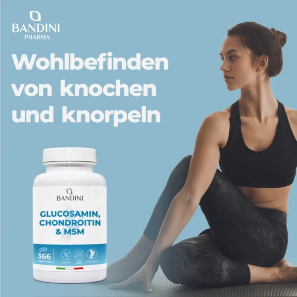 Glucosamin - 366 Tabletten – Bild 2