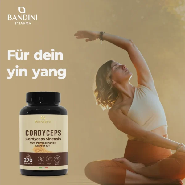 Cordyceps Sinensis - 270 Kapseln – Bild 2