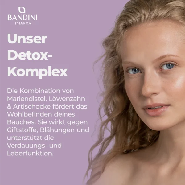 Mariendistel Komplex - 150 Kapseln – Bild 3