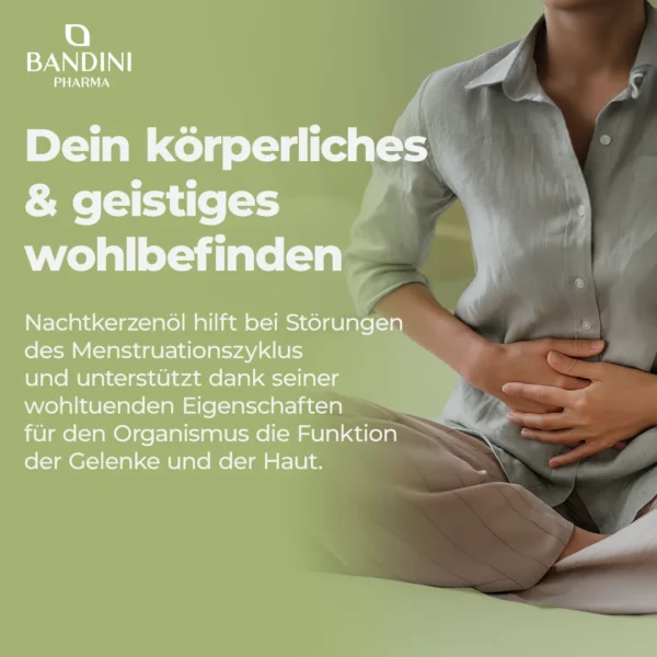 Nachtkerzenöl - 200 Weichkapseln – Bild 3