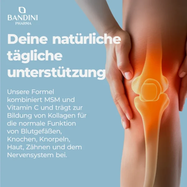 Glucosamin - 366 Tabletten – Bild 3