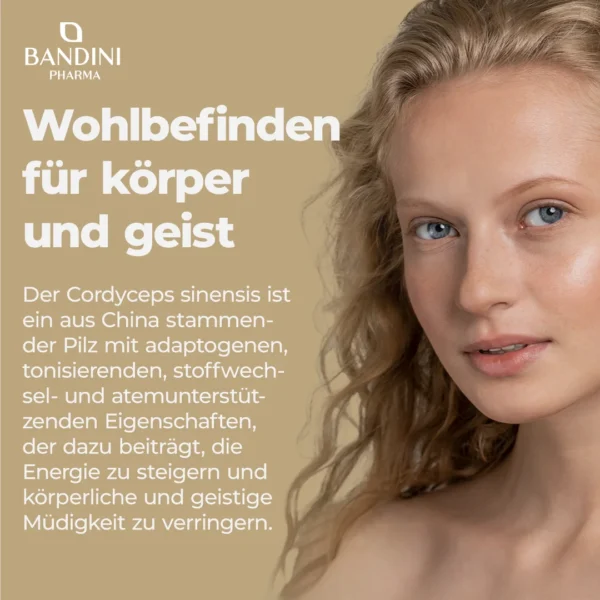 Cordyceps Sinensis - 270 Kapseln – Bild 3