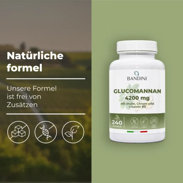 Glucomannan - 240 Kapseln – Bild 4
