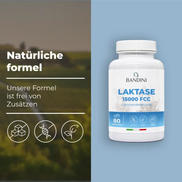 Laktase 15.000 FCC - 80 Tabletten – Bild 4