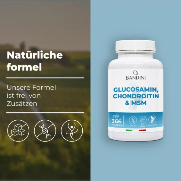 Glucosamin - 366 Tabletten – Bild 4