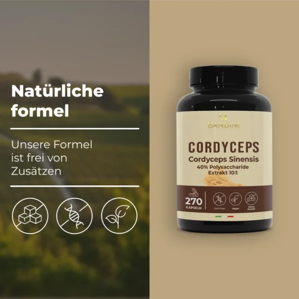 Cordyceps Sinensis - 270 Kapseln – Bild 4