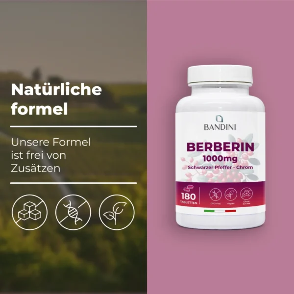 Berberin - 180 Tabletten – Bild 4