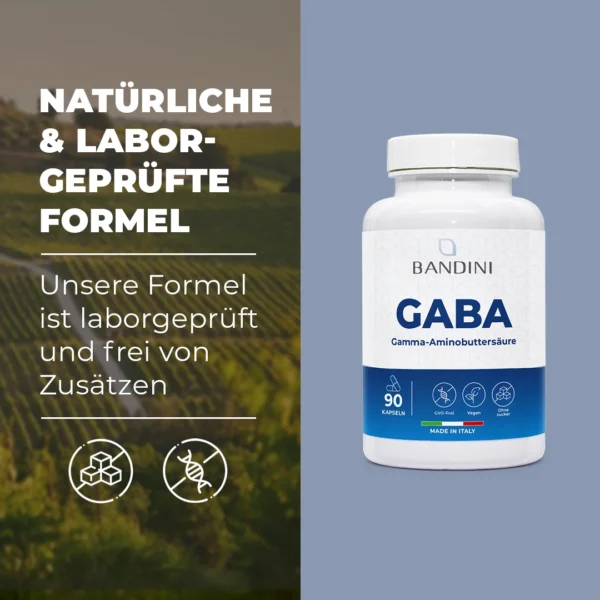 GABA Gamma-Aminobuttersäure - 90 Kapseln – Bild 4