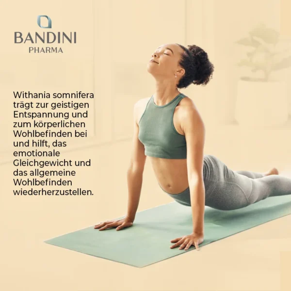 Ashwagandha - 180 Tabletten – Bild 7