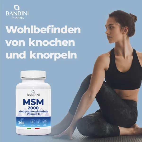 MSM Methylsulfonylmethan- 365 Tabletten – Bild 2