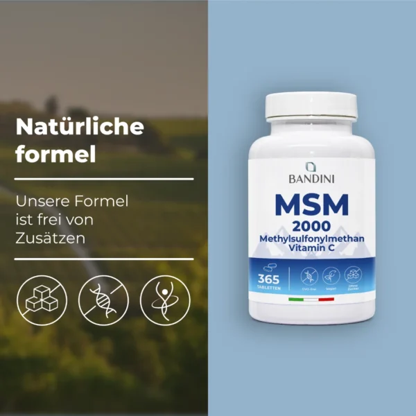 MSM Methylsulfonylmethan- 365 Tabletten – Bild 4