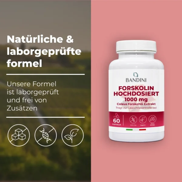Forskolin-Nahrungsergänzungsmittel