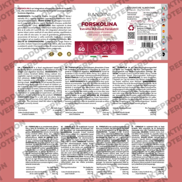 Forskolin-Nahrungsergänzungsmittel