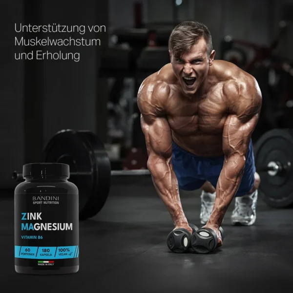 ZMA Zink Magnesium-Nahrungsergänzungsmittel