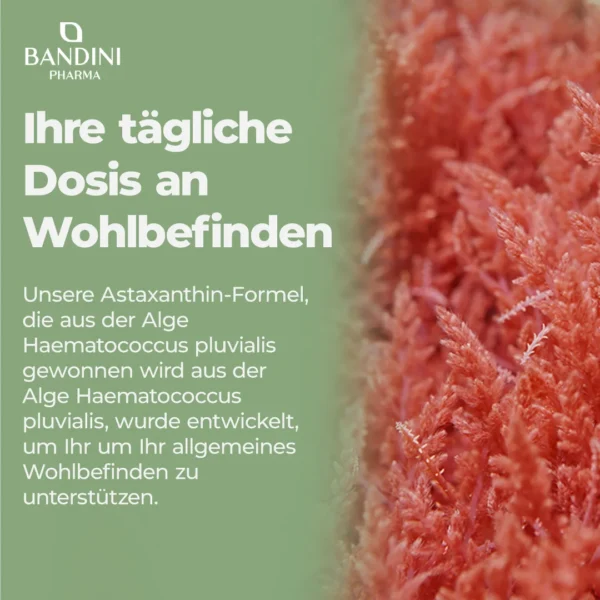 Astaxanthin-Nahrungsergänzungsmittel