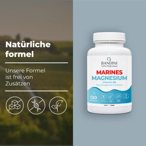 Meeres-Magnesium-Nahrungsergänzungsmittel
