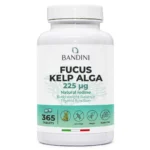 Anteprima principale