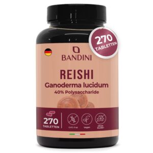 Reishi 270 Tabletten