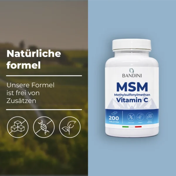 Msm 200 Cpr It.pt03