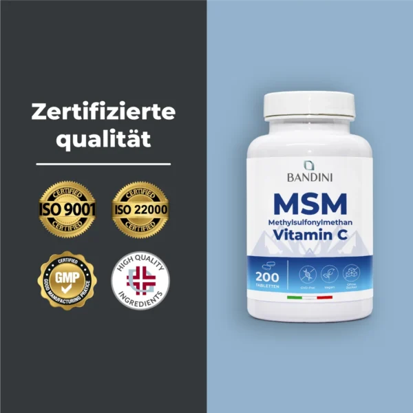 Msm 200 Cpr It.pt05