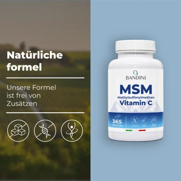 Msm 365 Cpr It.pt03