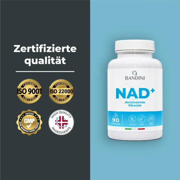 NAD 90 Kapseln-Ergänzungsmittel
