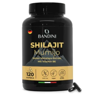 Shilajit 120 Kapseln