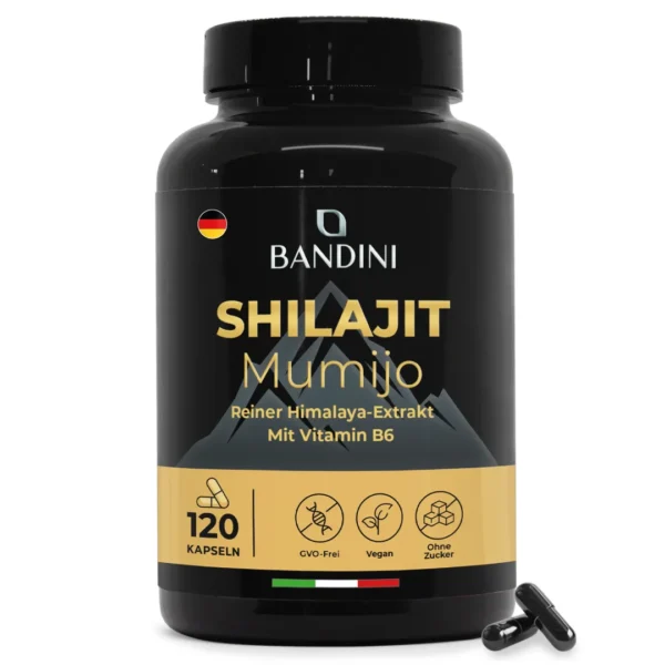 Shilajit 120 Kapseln