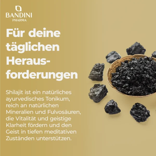 Shilajit It.pt02