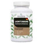 Anteprima principale