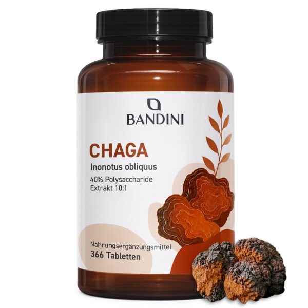 Chaga – 366 Tabletten