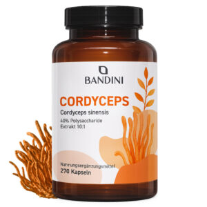 Cordyceps Sinensis 270 Kapseln BANDINI main