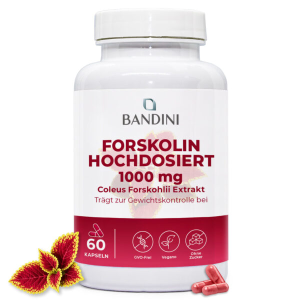Forskolin – 60 Kapseln