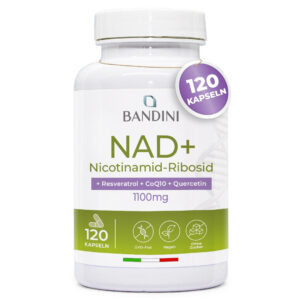 Liposomal NAD 120 Kapseln BANDINI main