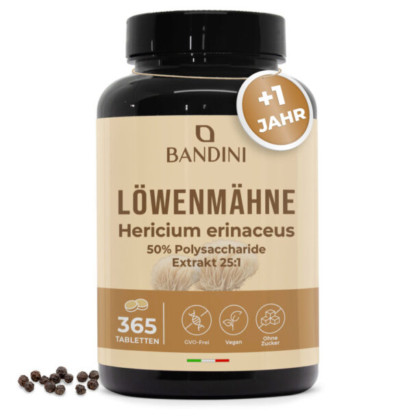 Löwenmähne – 365 Tabletten