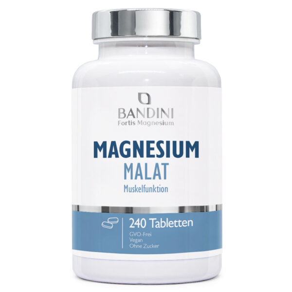 Magnesiummalat – 240 Tabletten