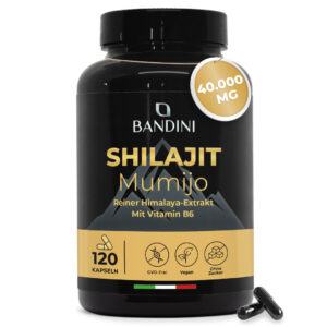Shilajit 120 Kapseln BANDINI main