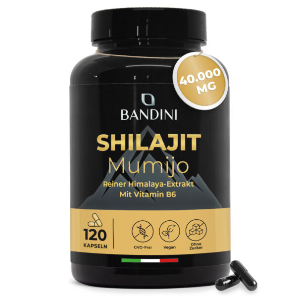Shilajit – 120 Kapseln